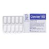 Thuốc Ciprobay 500 mg, Hộp 1 Vỉ x 10 Viên