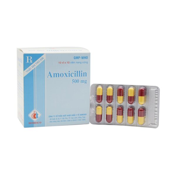 Thuốc kháng sinh Amoxicillin 500, Hộp 10 vỉ x 10 viên