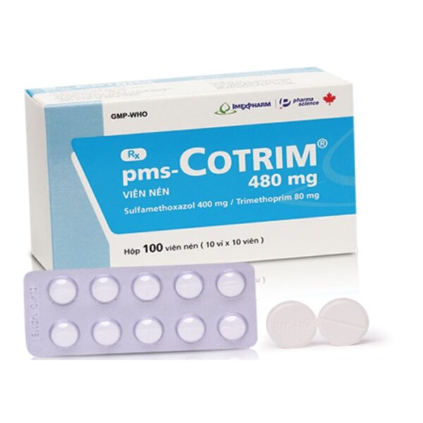 Thuốc kháng sinh Imexpharm Cotrim 480mg, Hộp 100 viên nén – NHÀ THUỐC ...