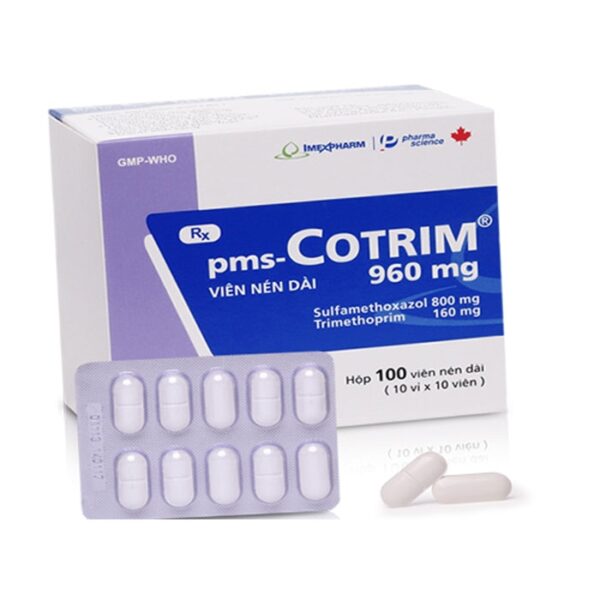 Thuốc kháng sinh Imexpharm Cotrim 960mg, Hộp 100 viên nén – NHÀ THUỐC ...